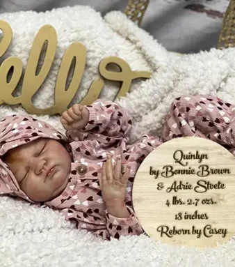 Quinlyn by Bonnie Brown and Adrie Stoete Reborn by Casey Goldberg