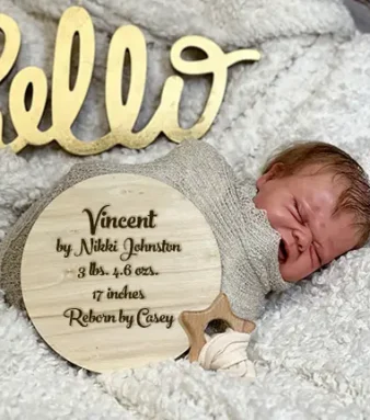 Vincent by Nikki Johnston Reborn by Casey Goldberg