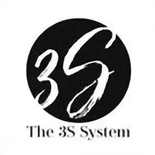 The 3S System by Natalie Scholl