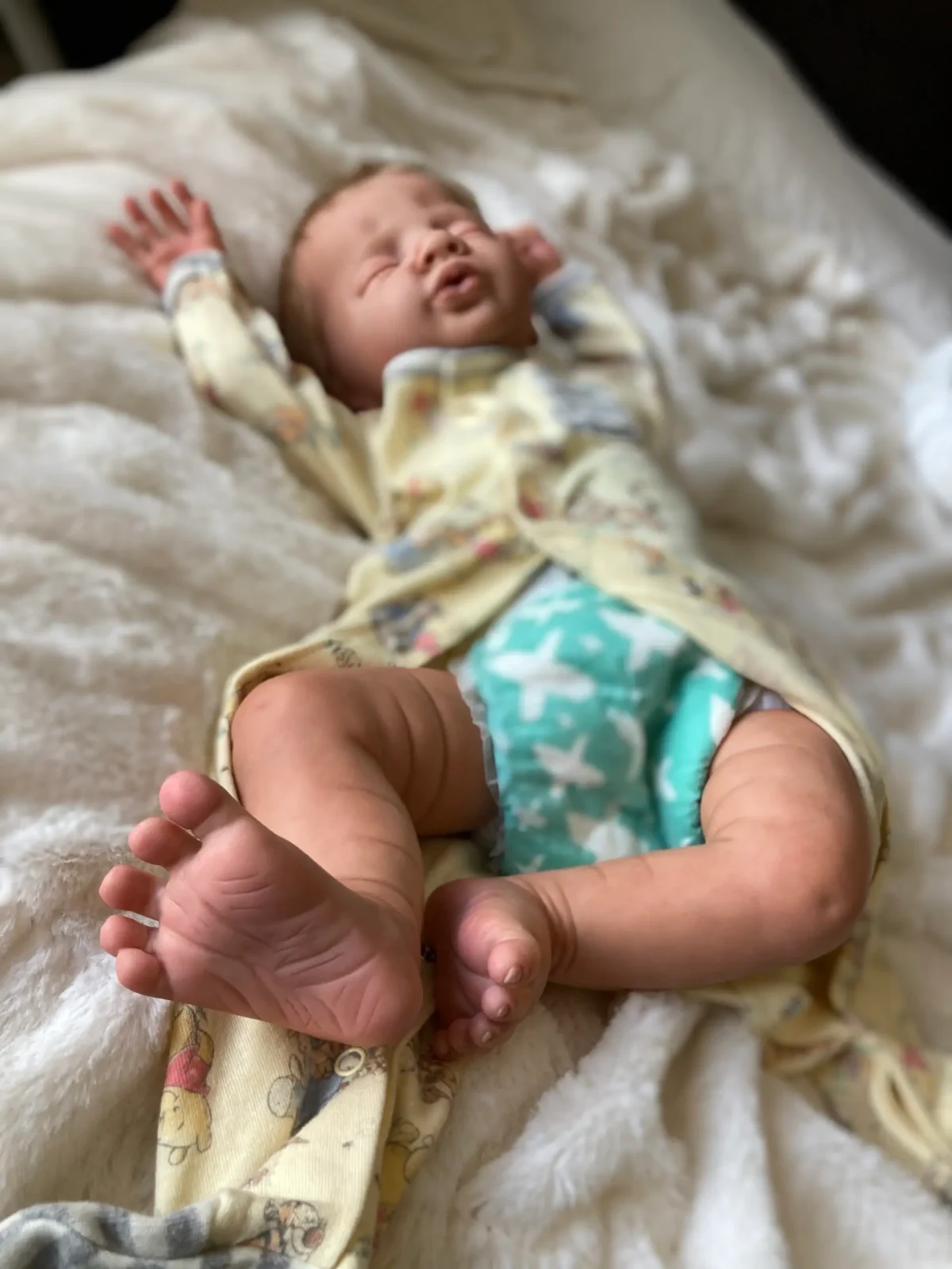 Shane by Angela Degner (ADOPTED) - Image 4