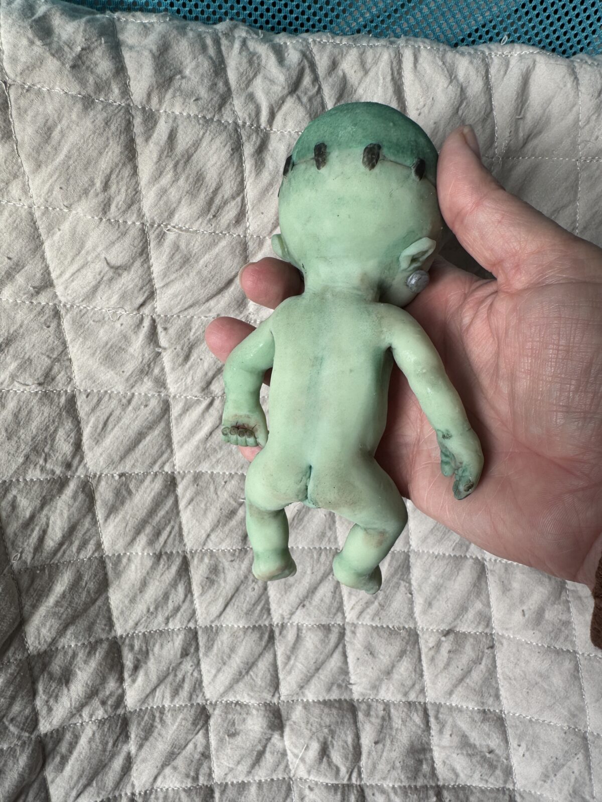 Frankie - Image 8