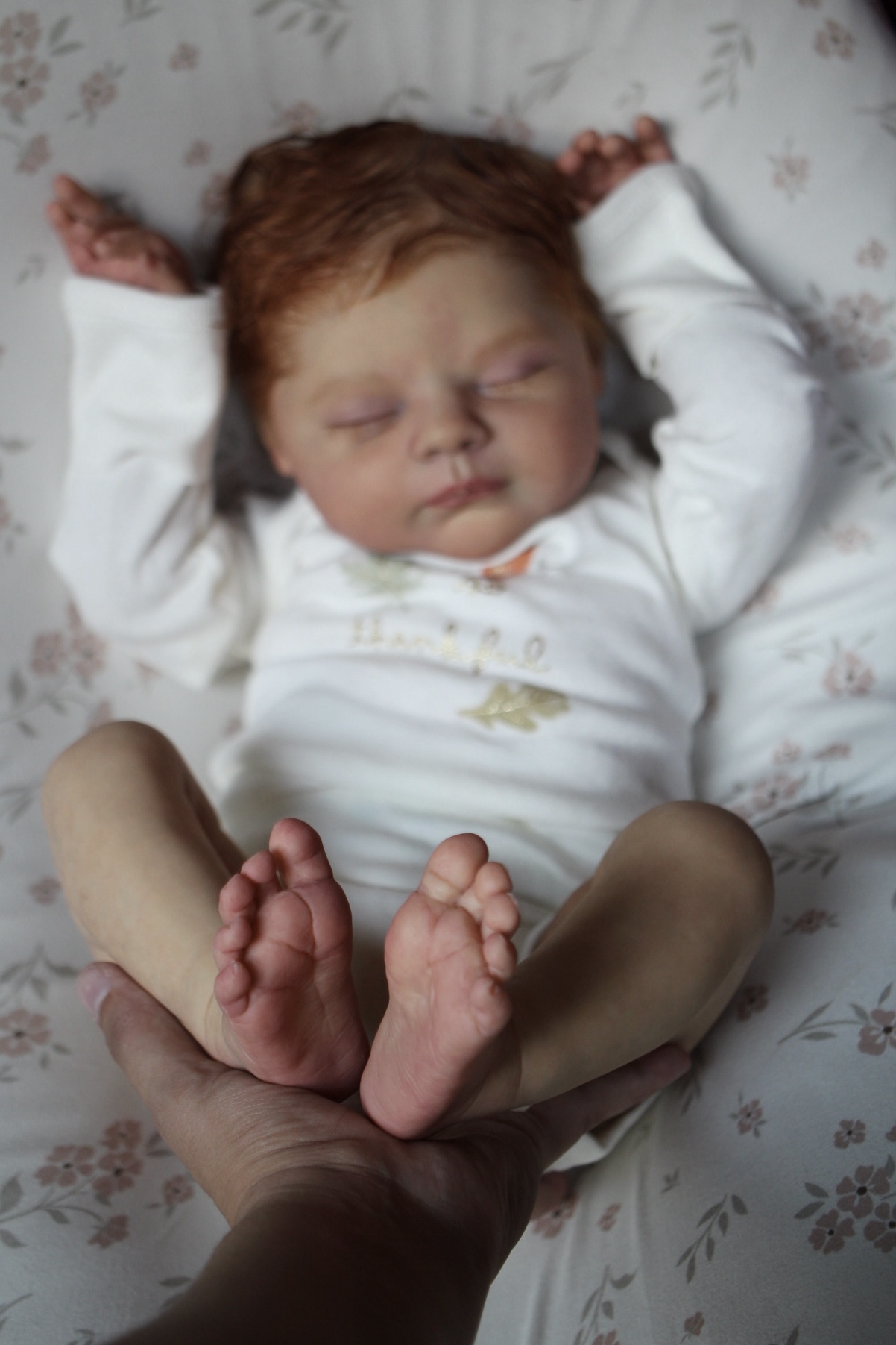 IMG_5453 Elena - Image 1