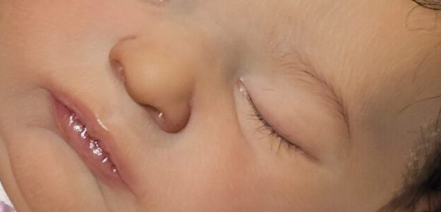Arteaga's Forever Baby Nursery
