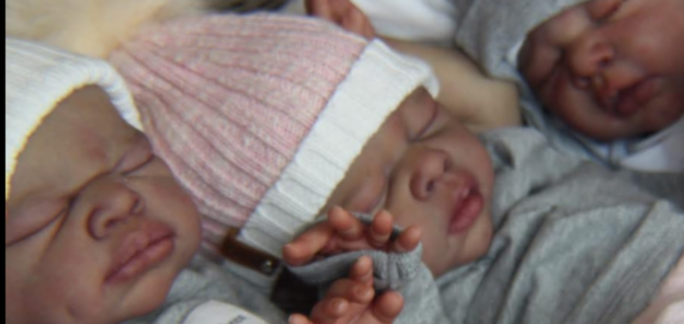 Sister Bear Reborns